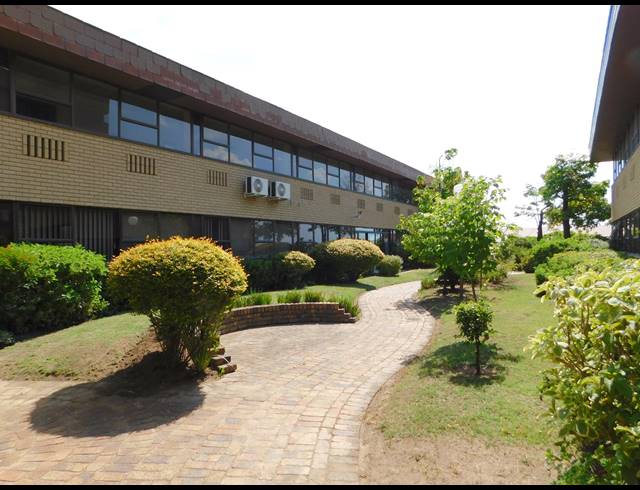 491M² OFFICE TO LET IN FERNDALE
